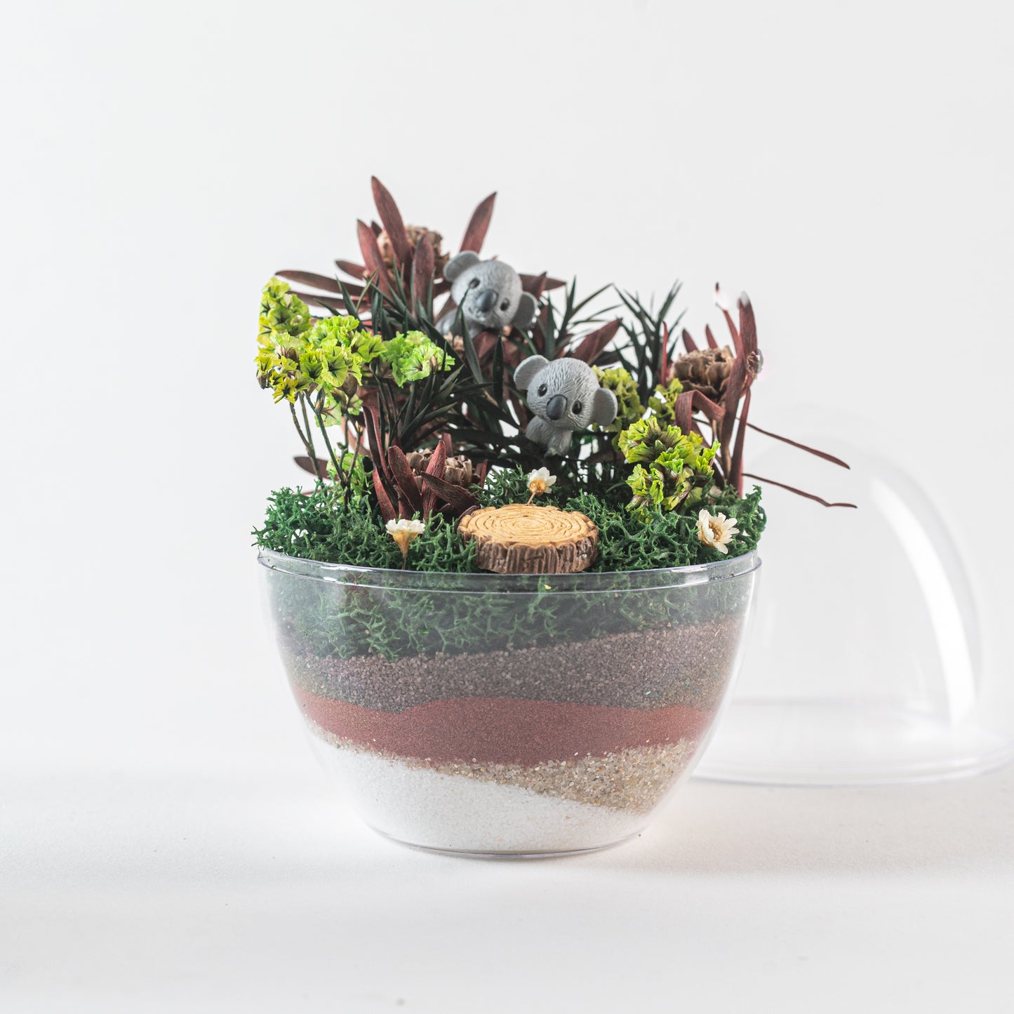 Eggscape Series - Koala Cuddle