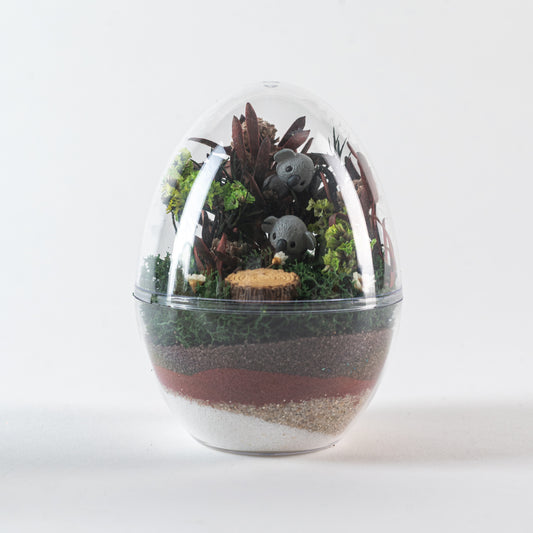 Eggscape Series - Koala Cuddle