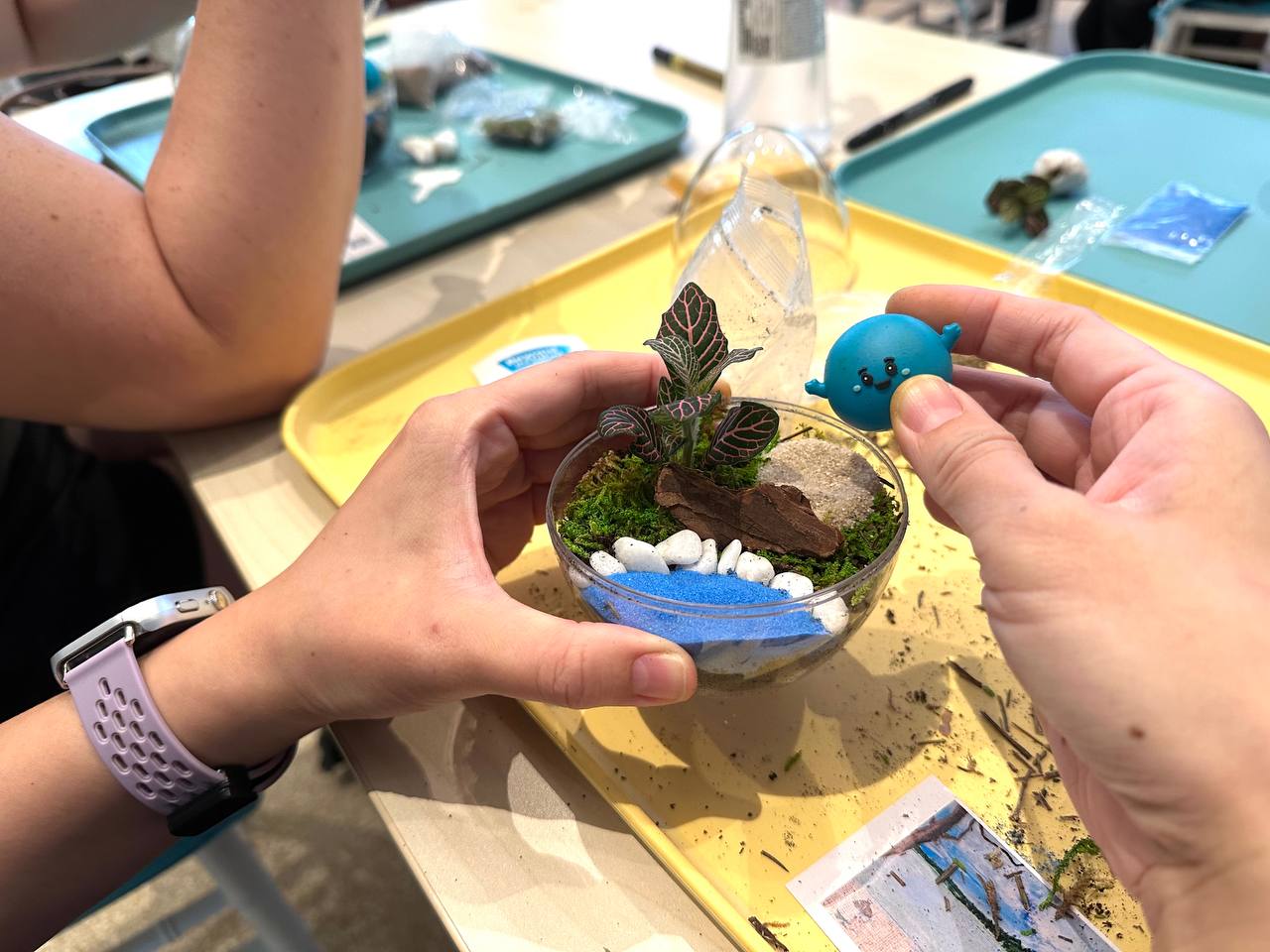 Terrarium Making Workshop