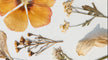 Timeless Blooms Workshop